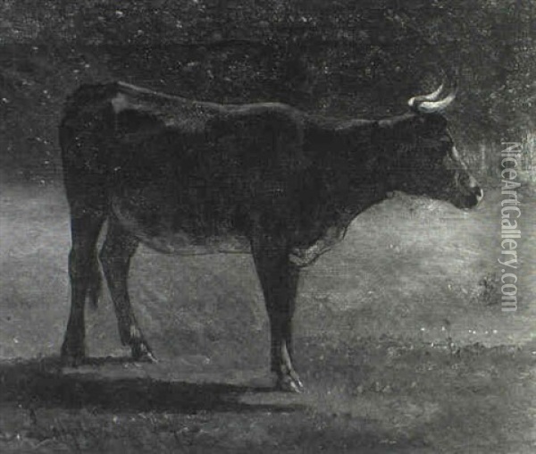 Bull In A Pasture Oil Painting - John Henry Dolph