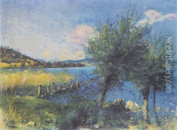 Bodenseelandschaft Oil Painting - Carl August Liner