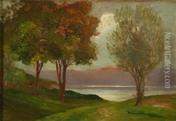 Lago Di Cavazzo Oil Painting - Pietro Fragiacomo