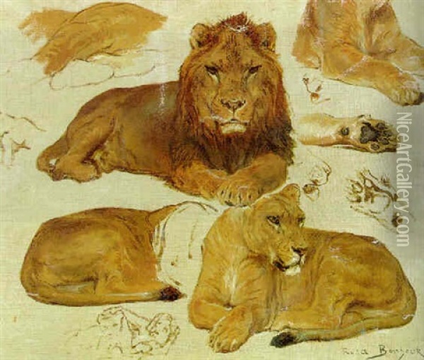 A Study Of Lions Oil Painting - Rosa Bonheur