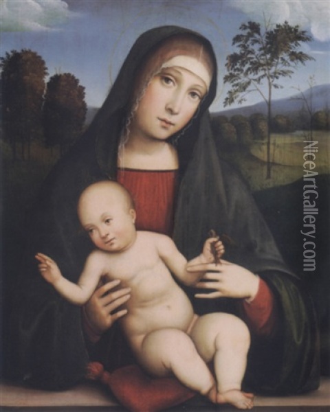 Madonna With The Christ Child Holding A Bird, A Distant Landscape Beyond Oil Painting - Francesco Francia