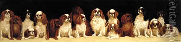 Seventeen seated King Charles and Blenheim spaniels Oil Painting - Alexander Pope