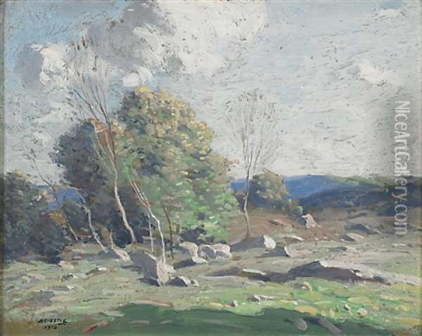 Untitled (stony Hillside) Oil Painting - George Matthew Bruestle