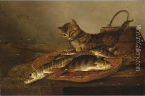 A Still Life With A Perch And A 
Pike On An Earthenware Dish, A Stick And A Wooden Bucket, Together With A
 Cat, All On A Wooden Table Oil Painting - Pieter de Putter