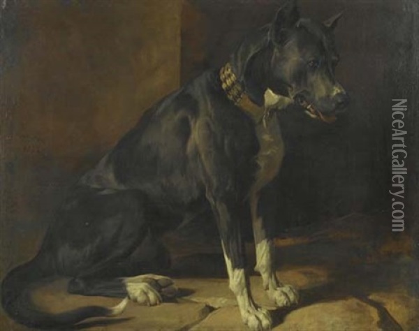 Schwarze Dogge Oil Painting - Johann Rudolf Koller