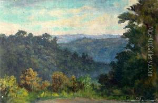 Henderson Valley Oil Painting - David Payne