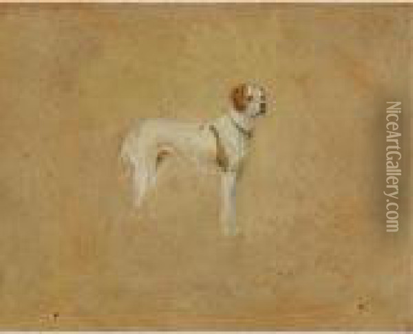 Krotkiy, The Artist's Dog Oil Painting - Ivan Pavlovich Pokhitonov