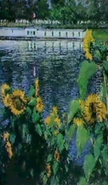 Soleils Au Bord De La Seine Oil Painting - Gustave Caillebotte