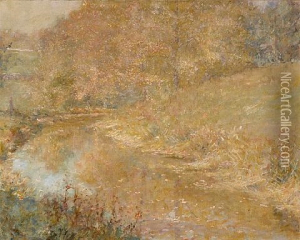 Stream In The Woods Oil Painting - Robert Reid
