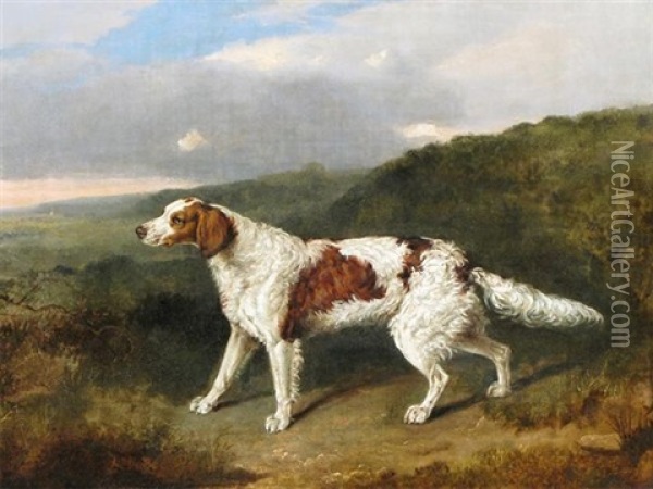 A Pointer In A Landscape Oil Painting - Abraham Cooper