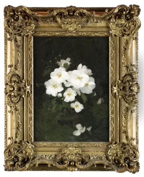 A Still Life Of White Roses Oil Painting - Stuart James Park