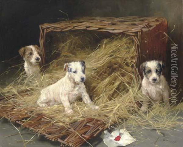 The New Arrivals - Fox Terrier Puppies Oil Painting - Arthur Wardle