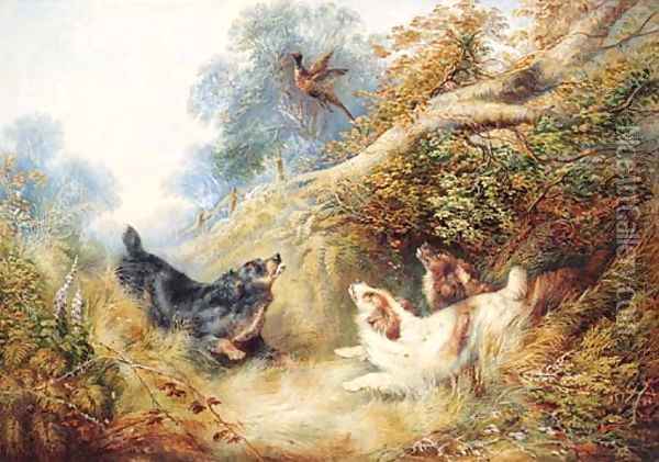 Spaniels flushing out a Pheasant Oil Painting - George Armfield