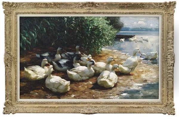 Ducks Atlakeshore. Oil Painting - Alexander Max Koester