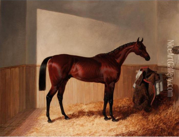 Mr Grantwicke's Bay Racehorse The Merry Monarch By Slane Out Of Margravine In A Loosebox Oil Painting - John Frederick Herring Snr