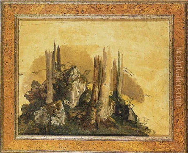 Studio Di Paesaggio Con Tronchi E Rocce Oil Painting - Johann Jakob Frey
