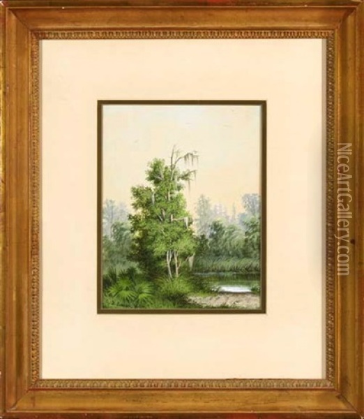 Cypress Trees And Palmettos Along The Bayou Oil Painting - George David Coulon