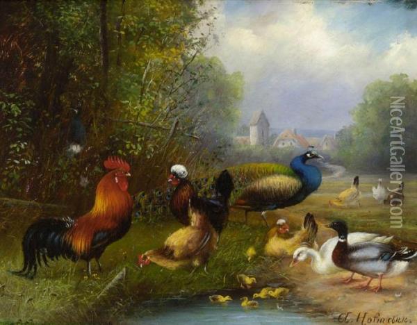 Huhner, Enten Und Pfau Am Teich Oil Painting - Karl Kaufmann