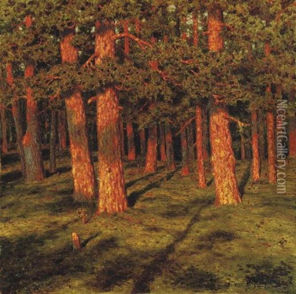 Pine Forest Oil Painting - Ivan Fedorovich Choultse