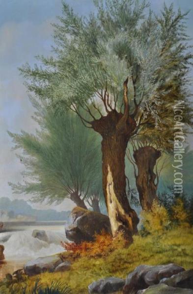 A Treelined River Oil Painting - Henry John Boddington