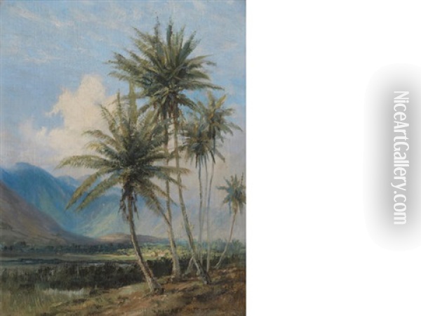 Coconut Palms, Manoa Valley From Kewalo Oil Painting - David Howard Hitchcock