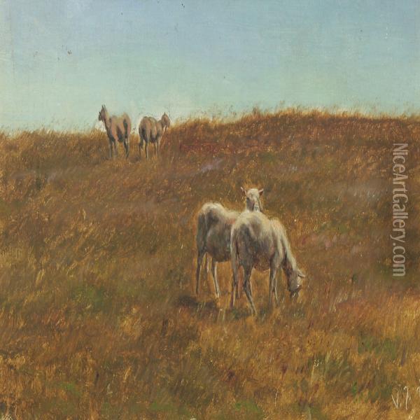 Landscape With Grazing Sheep Oil Painting - Valdemar Irminger