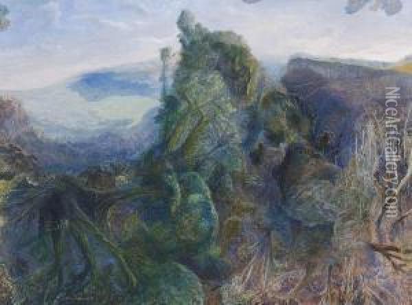 Tweed Valley Rainforest Ridge And Beechmont Oil Painting - William Robinson