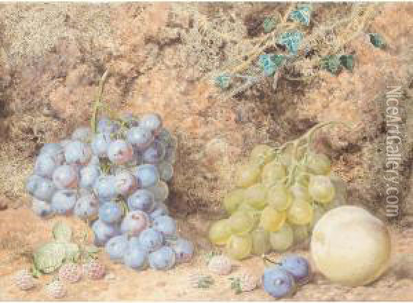 Still Life Of Fruits Oil Painting - Thomas Collier