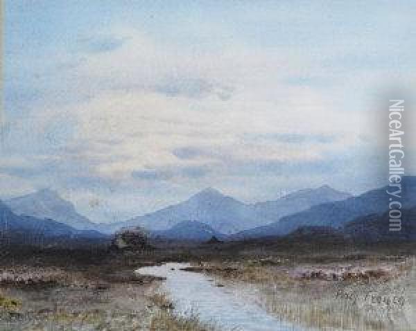 Bogland View Oil Painting - William Percy French