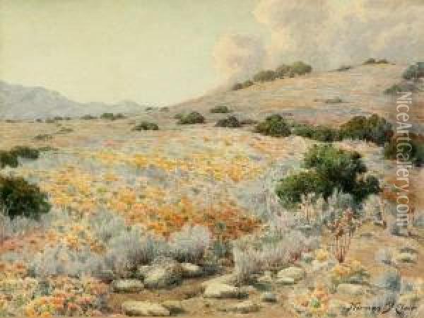 California Hillside With Poppies Oil Painting - Norman Saint-Clair