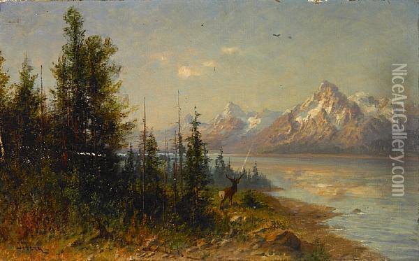 Elk In An Extensive Western Landscape Oil Painting - John Fery