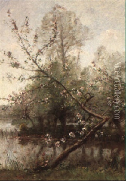 Trees In Blossom In Spring Oil Painting - Louis Aime Japy