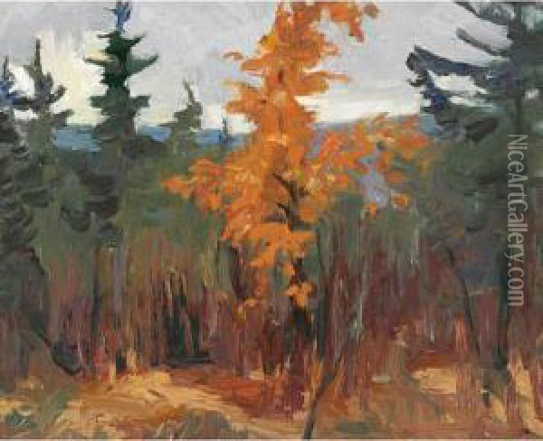 Brown Tree Oil Painting - John Wood