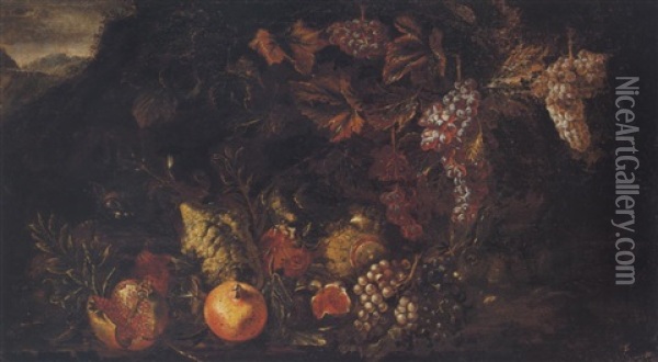 Still Life Of Fruit With A Cat, A Rabbit And A Parrot Oil Painting - David de Coninck