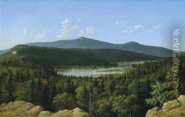 Twin Lakes And Catskill Mountain House Oil Painting - Albertus Del Orient Browere