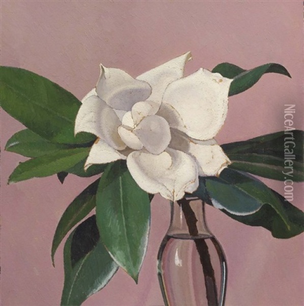 Magnolia Oil Painting - Oscar Ghiglia