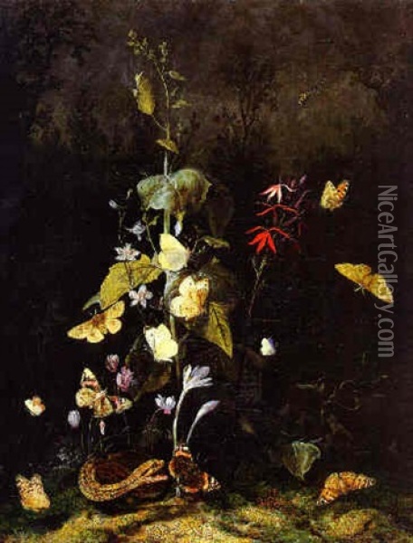 Still Life Of Wild Flowers, Including Cyclamen, Crocus, Delphinium, With A Snake And Butterflies Oil Painting - Otto Marseus van Schrieck