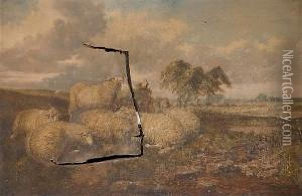 Sheep In A Rural Landscape Oil Painting - Joseph Clark
