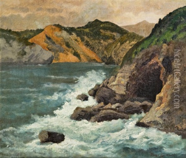 Meereslandschaft Oil Painting - Hugo Charlemont