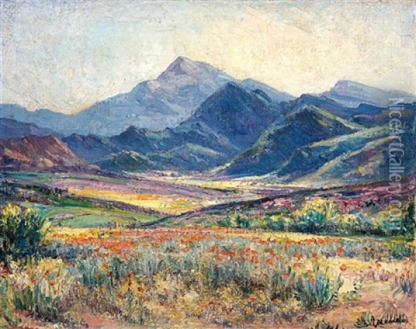 Springtime In Namaqualand Oil Painting - Pieter Hugo Naude