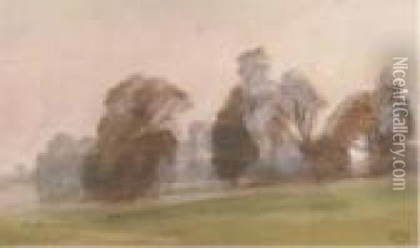 Misty Landscape With Trees Oil Painting - Ambrose McEvoy