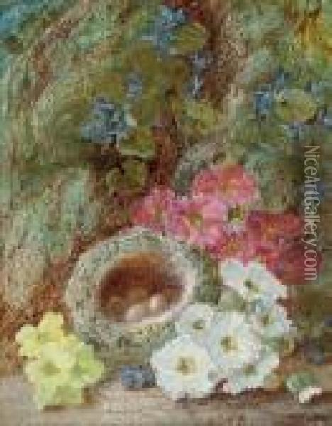 Primroses And A Bird's Nest On A Mossy Bank Oil Painting - Vincent Clare