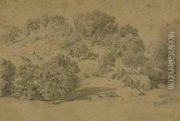 Eichenwaldchen An Einem Hugel Oil Painting - Johann Wilhelm Schirmer