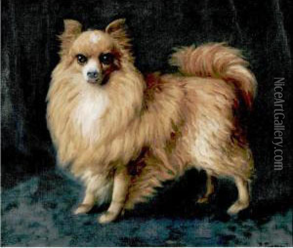 Pomeranian Oil Painting - Ruggero Panerai