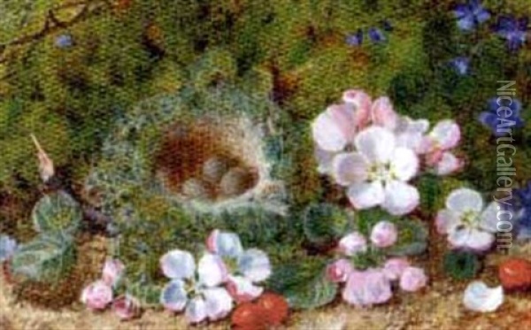 Apple Blossom, Berries And A Bird's Nest With Eggs On A Mossy Bank (+ Grapes, Raspberries And Greengages On A Mossy Bank; Pair) Oil Painting - George Clare