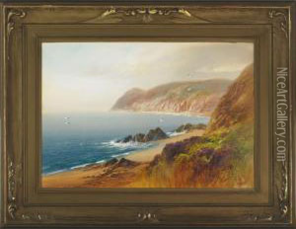 The Foreland, Lynmouth, N. Devon Oil Painting - John Shapland