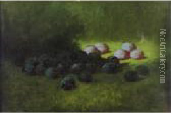 Still Life With Plums Oil Painting - Carducius Plantagenet Ream