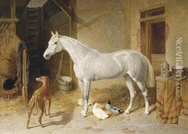 A Dappled Grey Horse In A Stable, With A Greyhound, Ducks And Acat Oil Painting - John Frederick Herring Snr