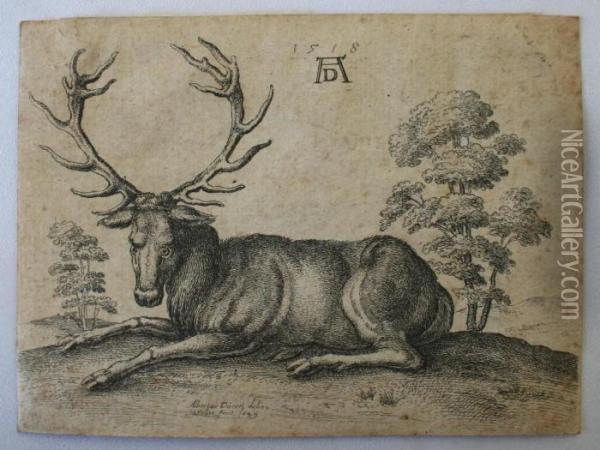 A Stag Lying Oil Painting - Albrecht Durer