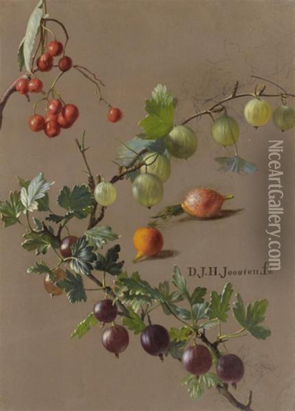 Jete De Groseilles Et De Baies Rouges Oil Painting - Dirk Jan Hendrik Joostens